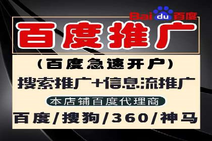 案例分享：百度推广助力企业实现多元化发展